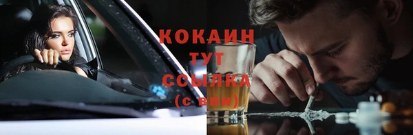 индика Краснотурьинск