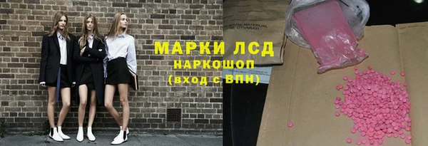 индика Краснотурьинск