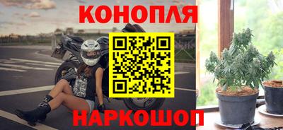 сатива Гатчина