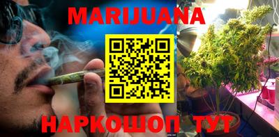 сатива Гатчина