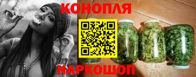 сатива Гатчина