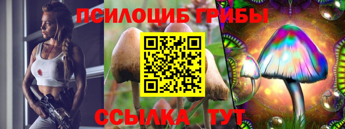 Псилоцибиновые грибы мицелий  Галлюциногенные грибы Cubensis  Вход с VPN  Павлово 